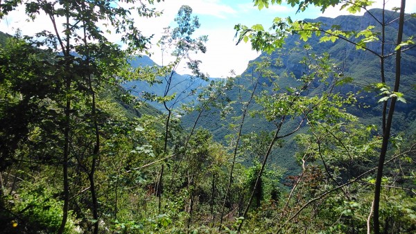 DSC_0025.jpg
