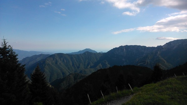 DSC_0057.jpg