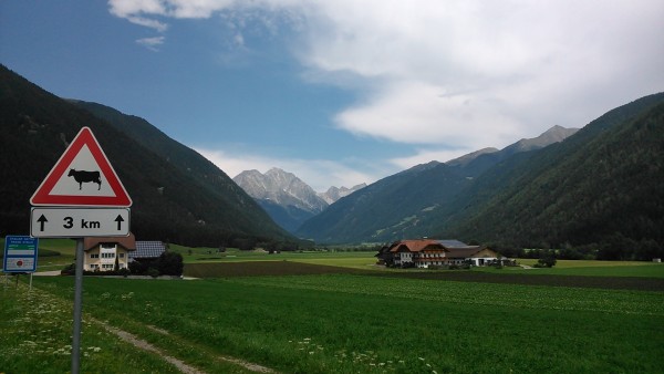 DSC_0043.jpg