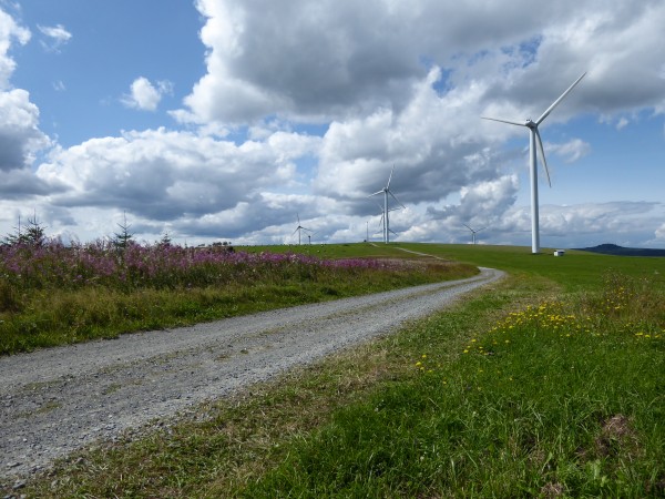 Einsamkeit im oberen Erzgebirge