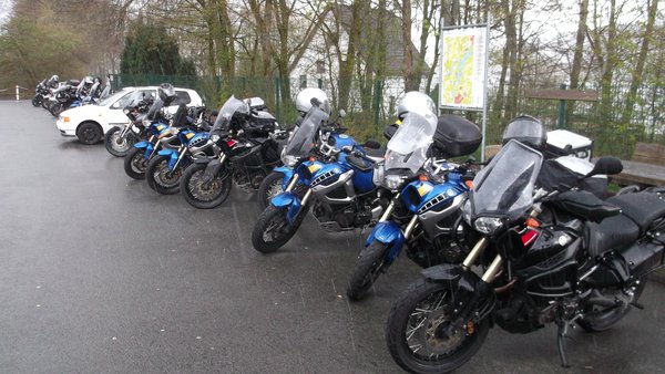 2012-04-22 017b.JPG (165.71 KiB) 6491 mal betrachtet Nur die Harten kommen in den Garten.