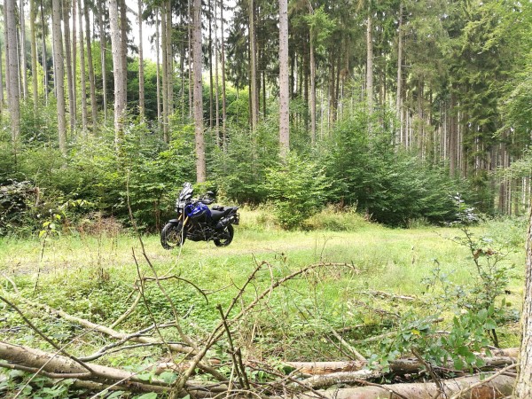 IMG_20170827_142748.jpg (463.48 KiB) 4096 mal betrachtet andere Ansicht