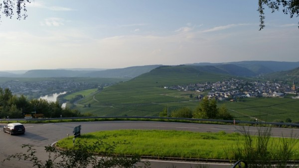 Blick auf Trittenheim