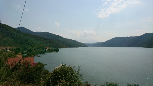 Noch mehr grüne Donau