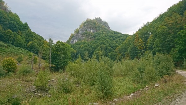 Falsch abgebogen