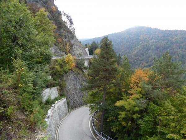 P1020245.JPG (288.44 KiB) 6968 mal betrachtet Kaiserjäger002