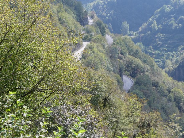 P1020255.JPG (417.29 KiB) 6968 mal betrachtet SP73 - Brentaschlucht