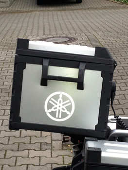 mit Blitz.JPG