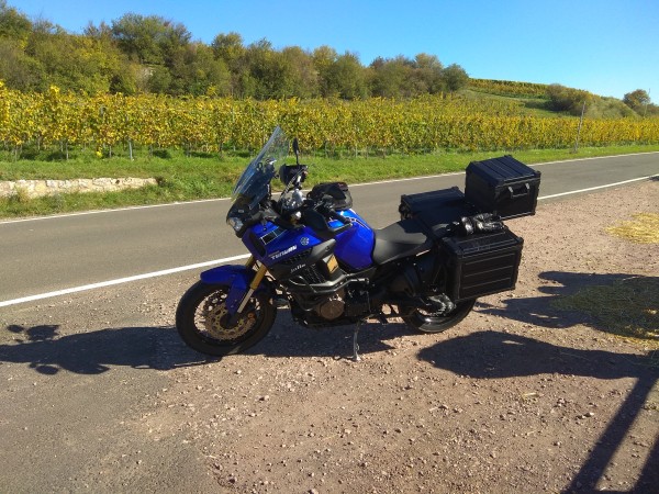 IMG_20171014_123139.jpg (351.6 KiB) 2804 mal betrachtet Rheinhessen oberhalb von Einzeltum