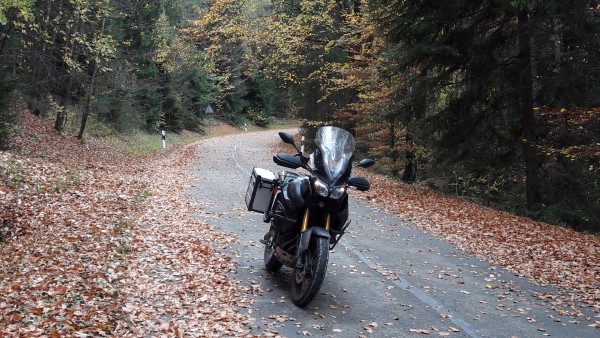 20171022_124726_k.jpg (287.96 KiB) 3613 mal betrachtet schön viel Laub und feucht dazu....