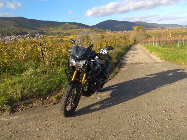 IMG_20171031_144225.jpg (354.59 KiB) 2913 mal betrachtet Die erste 1000er Inspektion ist fällig