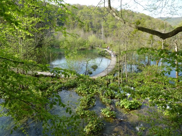 Wanderweg im Plitvice Nationalpark