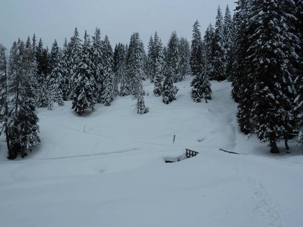Nemes Alm ( Sexten )