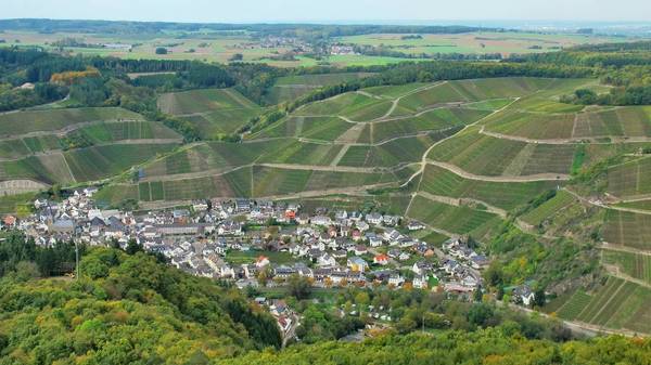 Blick vom Krausbergturm auf Dernau