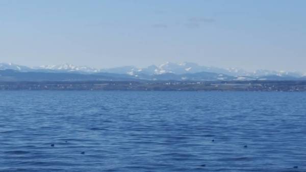 20180308_082831.jpg