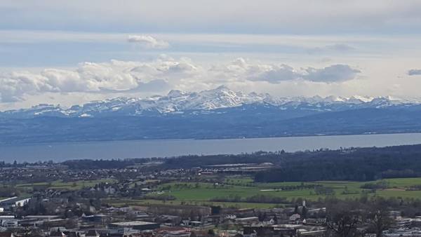 20180330_160932.jpg