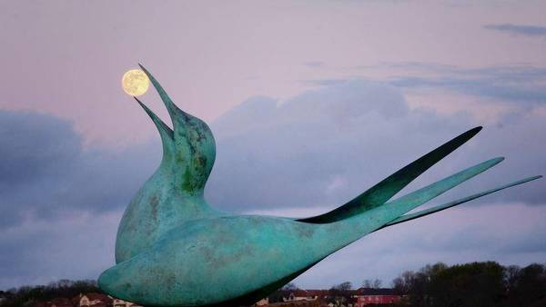 Vollmond.jpg (36.63 KiB) 2989 mal betrachtet Vollmond