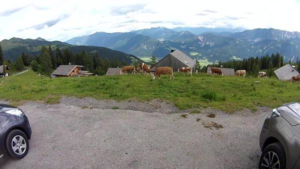 Auf der Alm gibt´s kein Sünd o. Immer das gleiche Luder (4).jpg