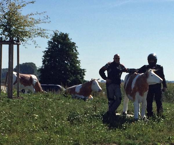 IMG_2266.jpg (147.59 KiB) 6769 mal betrachtet Wer ist der/die schönste