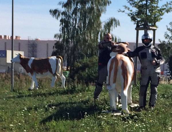 IMG_2269.jpg (118.69 KiB) 7001 mal betrachtet Bei den Hörnern gepackt