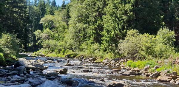 In Tschechien/Nationalpark unten am Fluss