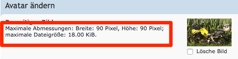 Größe Avatar