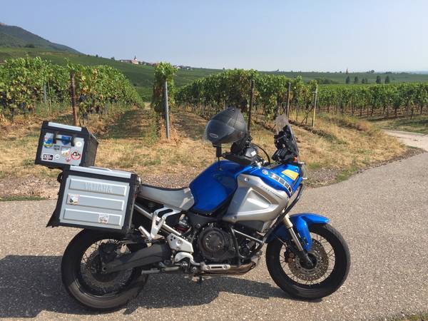 Ein herrlicher Tag in der Pfalz