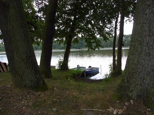 einer von vielen kleinen waldseen, die zum verharren einladen...