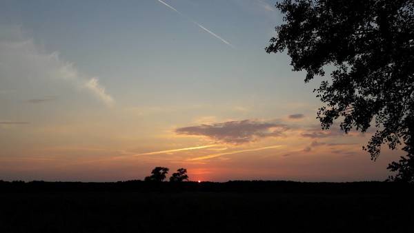 20180817_201535.jpg