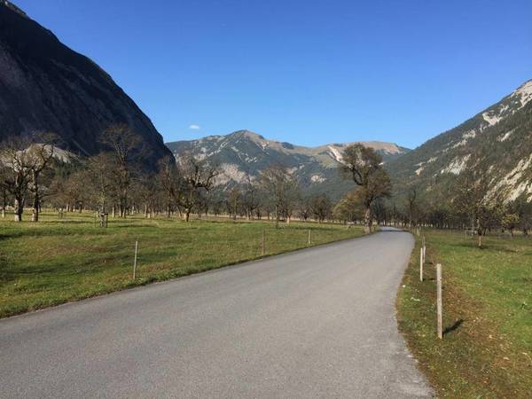 Ahornoden.JPG (104.38 KiB) 2797 mal betrachtet Großer Ahornboden
