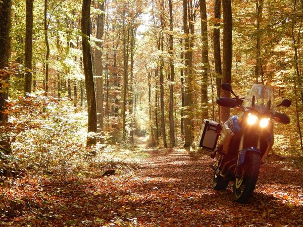 solange die Blätter trocken sind ist es im Wald auch gut fahren.