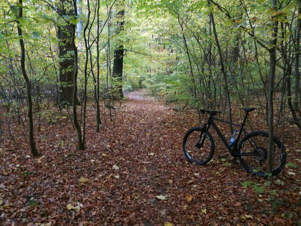 Sonntagsausflug.jpg (468.78 KiB) 3399 mal betrachtet Aufnahme vom Sonntag