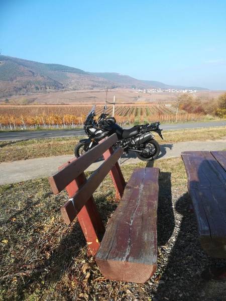 IMG_20181122_130820 (FILEminimizer).jpg (232.87 KiB) 2993 mal betrachtet Pälzer Bank