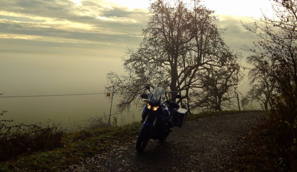 DSCNLichtblick 1.jpg