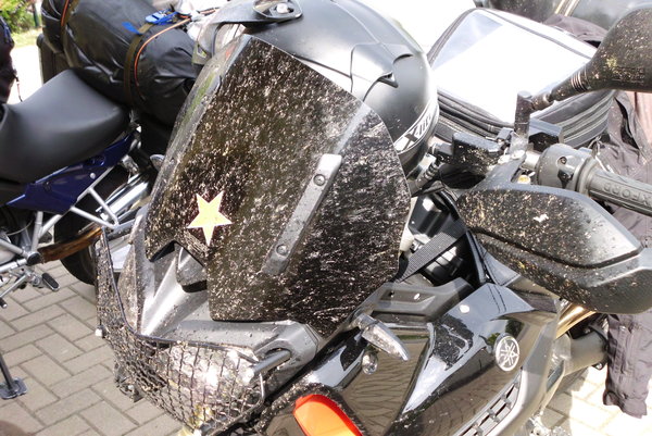 042  Noch mehr tote Tiere.JPG