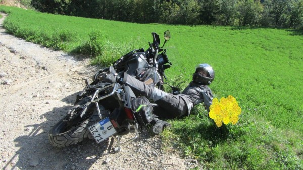 IMG-20180928-WA0001.jpg (295.16 KiB) 5005 mal betrachtet Blümchenpflücken in Perfektion!