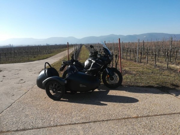 IMG_20190216_141213 (FILEminimizer).jpg (132.95 KiB) 2572 mal betrachtet Traumhaftes Wetter in der Südpfalz