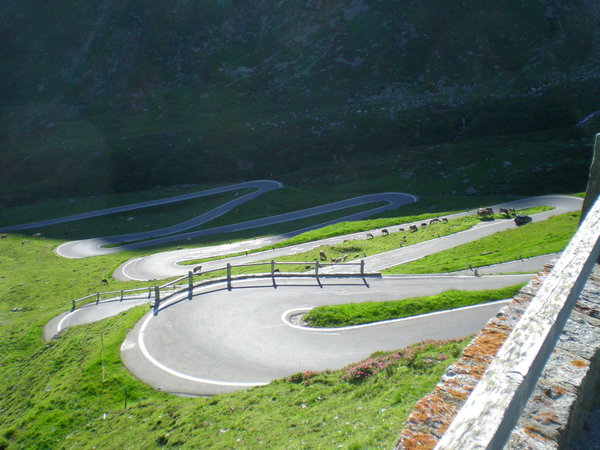 DSCN3978.JPG