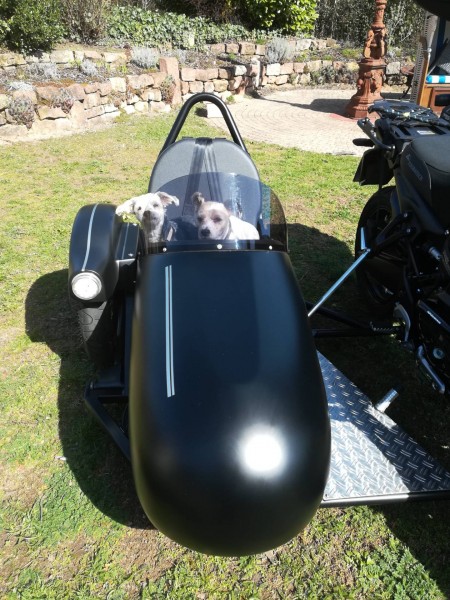 IMG_20190320_122421.jpg (482.67 KiB) 2499 mal betrachtet Meine beiden Kampfhunde und ihr neues Gefährt