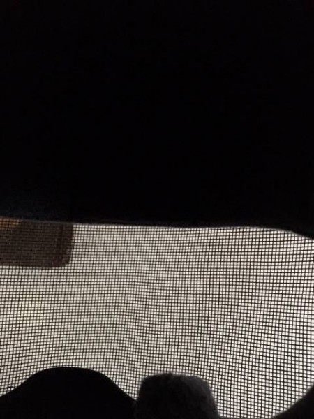 IMG_4329.JPG (48.92 KiB) 2355 mal betrachtet Shoei Fliegengitter von innen