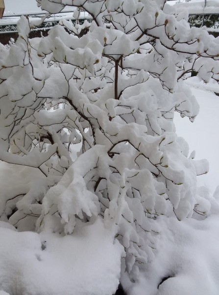 B96CBF44-2C61-468F-BD83-ECB35FBC6BD8.jpeg (227.42 KiB) 3060 mal betrachtet Nix mit Mopped fahren