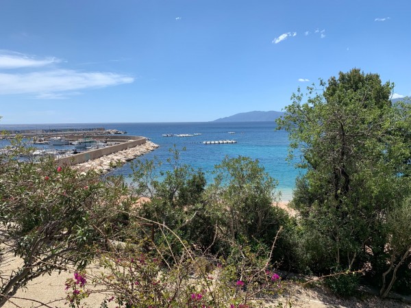 D027A9CB-BFD1-4943-9CE0-B11FEE207A7F.jpeg (956.23 KiB) 2929 mal betrachtet Sonne