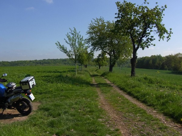 uralte landstrasse im kohrener land...