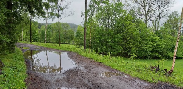 Pfützen haben es mir angetan