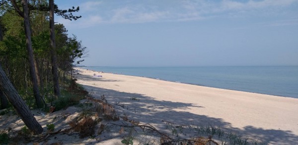 20190604_101130.jpg (192.79 KiB) 2958 mal betrachtet Strand