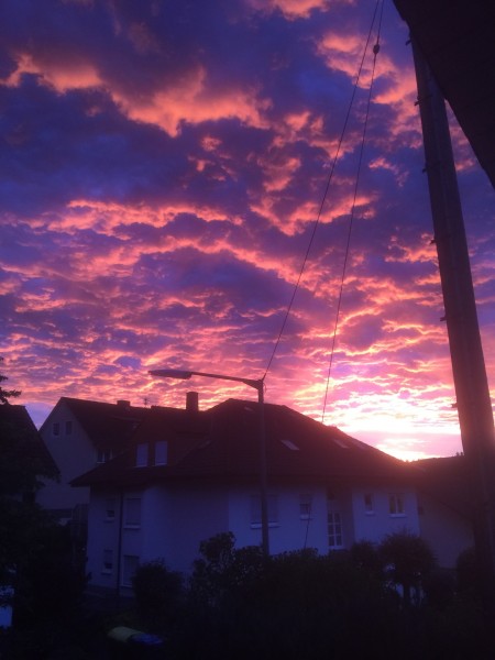 7D643F6A-83FB-478A-9C41-1215EDF8122A.jpeg