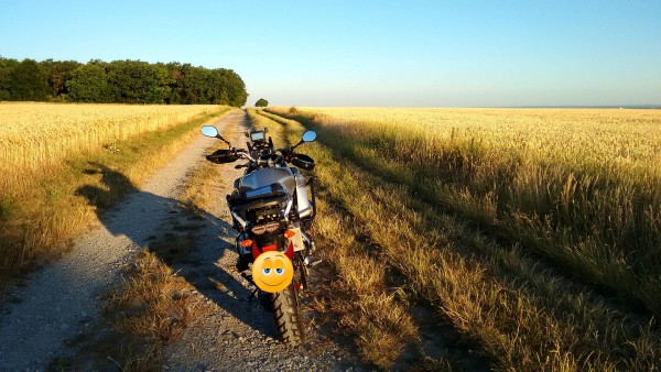 IMG_20190630_061043142.jpg (404.54 KiB) 3212 mal betrachtet Geh nicht immer auf dem vorgezeichneten Weg,<br />der nur dahin führt,<br />wo andere bereits gegangen sind*
