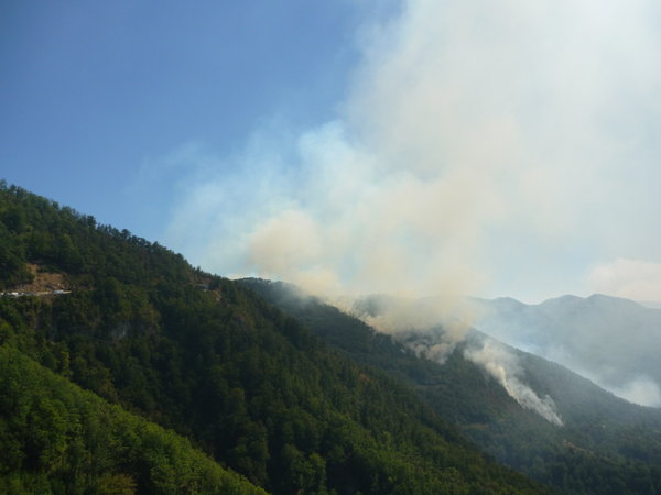 Waldbrand