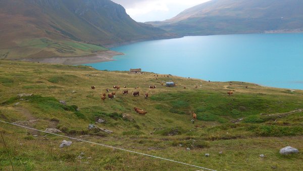 Am Lac Mont Cenis, Blick gen Norden