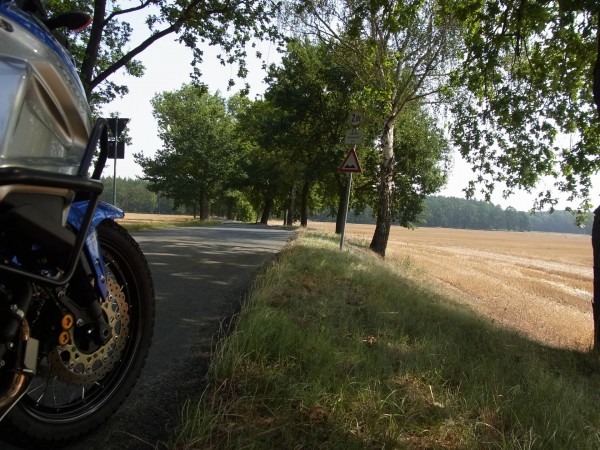 die richtung stimmt, tolle alleestrassen...